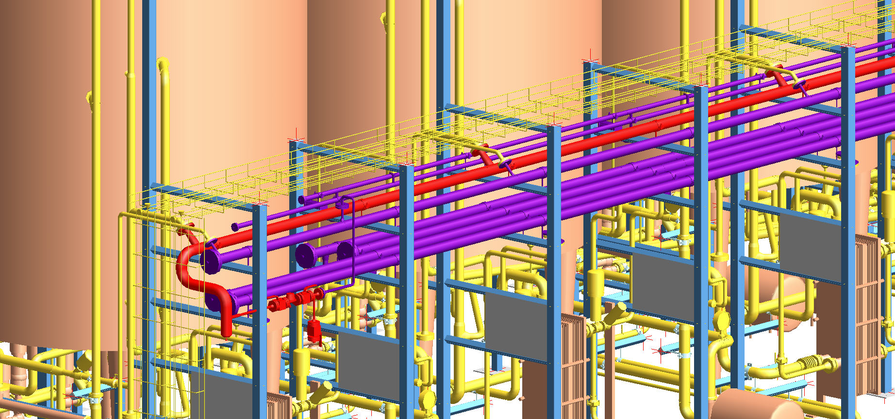 Decoloring Plant for a Dextran Facility